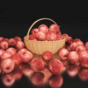 现代苹果果盘3D模型下载